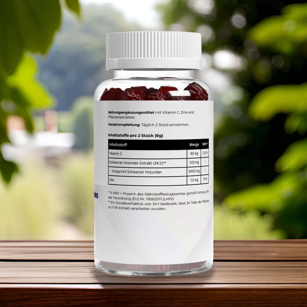 Löwenmähne Gummies von Wellness Formel – Nahrungsergänzung mit Blueberry-Geschmack, vegan, zuckerfrei und mit Vitamin B6. 60 Gummies in einer transparenten Dose mit weißem Deckel und Etikett
