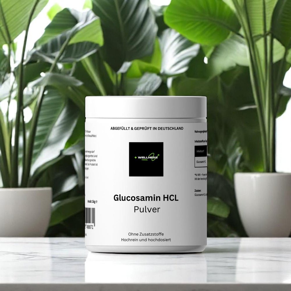 Glucosamin Pulver - 1.000g - wellness formel
