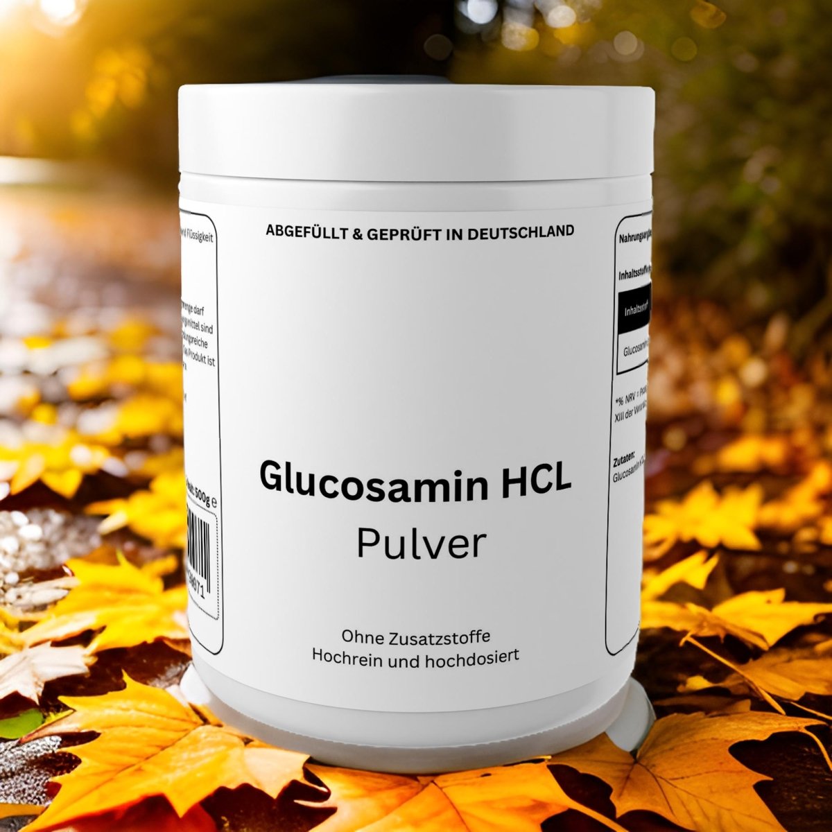 Glucosamin Pulver - 500g - wellness formel