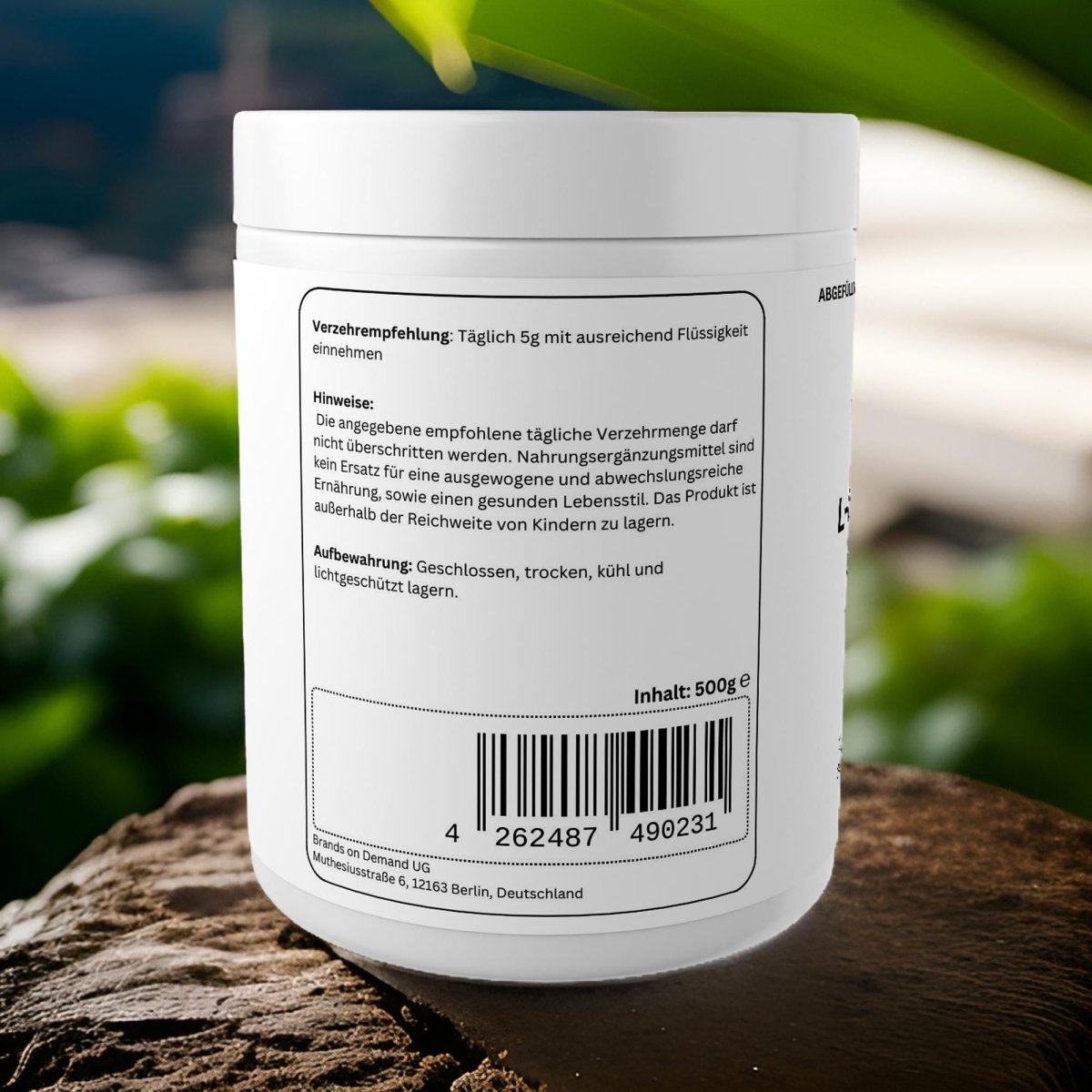 L - Glutamin Pulver - 500g - wellness formel