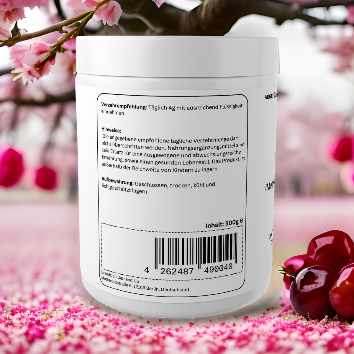 MSM Pulver - 500g - wellness formel