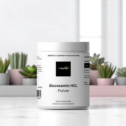Weiße Dose mit Glucosamin HCL Pulver der Marke Wellness Formel, hochrein und ohne Zusatzstoffe, vor einem hellen Hintergrund mit dekorativen Sukkulenten