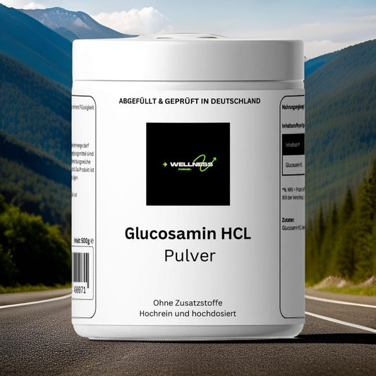 Glucosamin Pulver - 500g - wellness formel