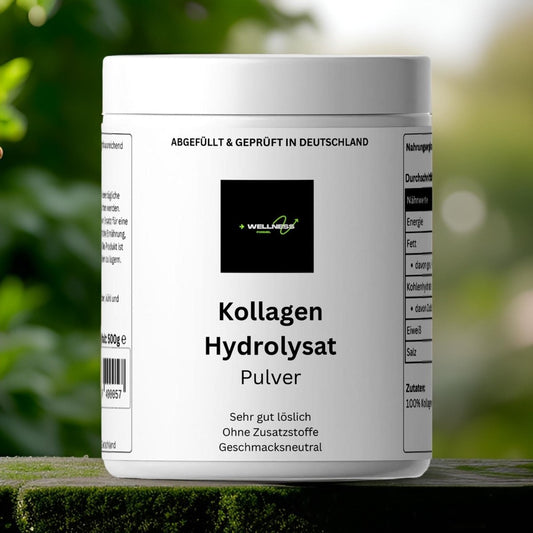 Kollagen Pulver - 500g - wellness formel