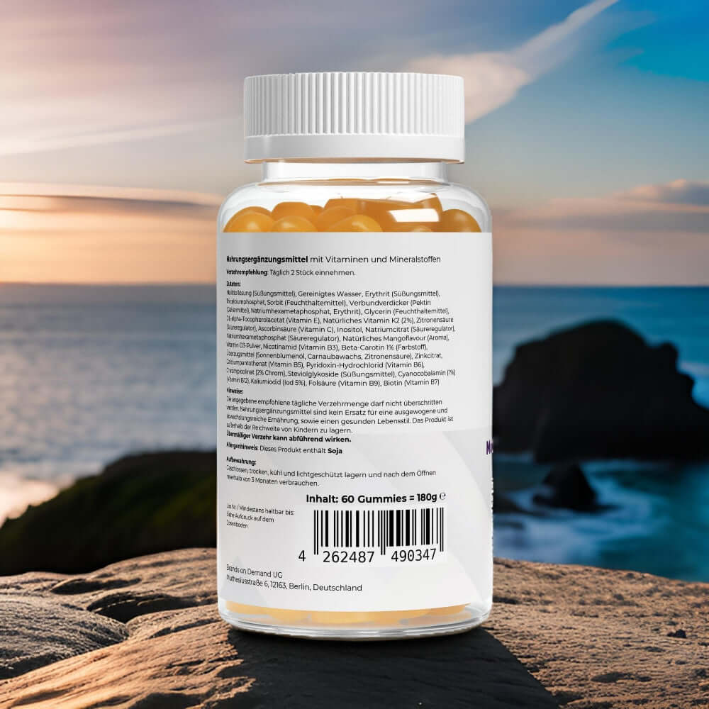 Löwenmähne Gummies von Wellness Formel – Nahrungsergänzung mit Blueberry-Geschmack, vegan, zuckerfrei und mit Vitamin B6. 60 Gummies in einer transparenten Dose mit weißem Deckel und Etikett