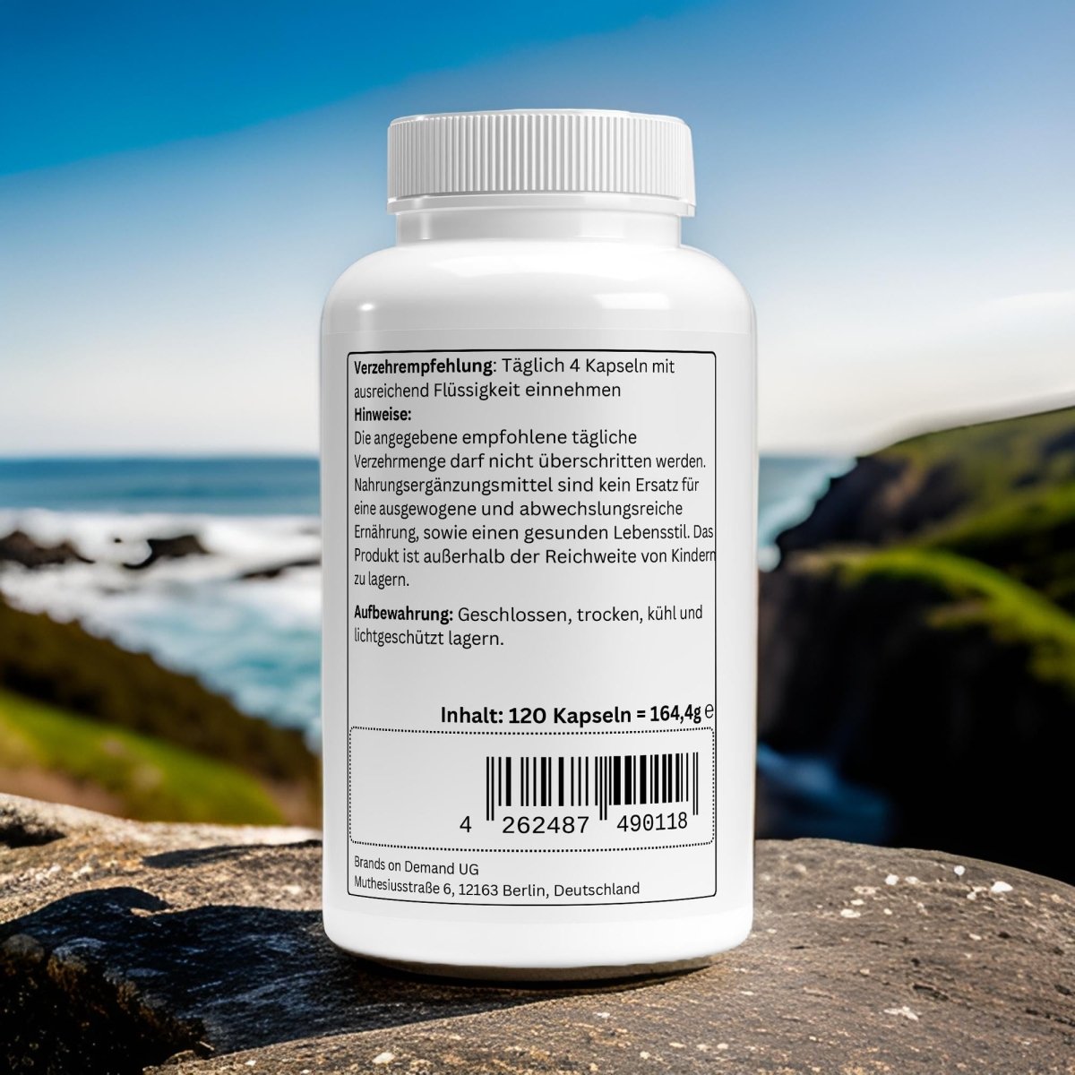 Omega 3 Kapseln - wellness formel