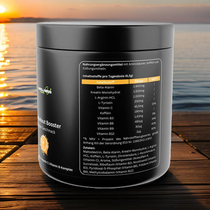 Pre - Workout Booster - Geschmack: Orange - wellness formel